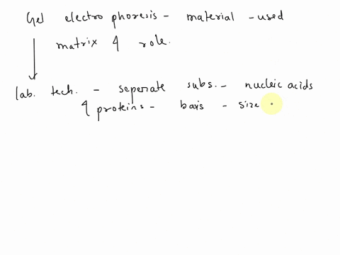 name-the-material-used-as-matrix-in-gel-electrophoresis-and-mention-its-role-80549