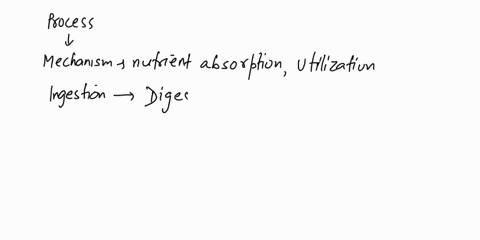 2-what-are-the-six-steps-needed-to-process-food-a-where-does-each-step-occur-in-the-body-b-what-organs-andor-accessory-organs-are-involved-in-each-step-c-what-physiological-processes-are-inv-31056