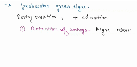 what-are-the-adaptations-that-made-plants-successfully-occupy-land-environment-describe-them_-58127