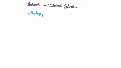 how-are-animals-behavior-connected-to-natural-selection-78458