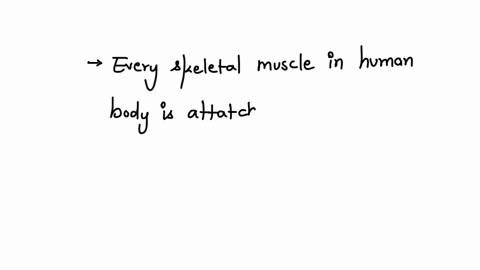 skeletal-muscles-always-cross-an-articulation-true-false-87922