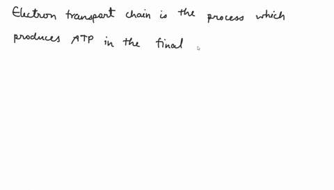 the-electron-transport-system-is-located-in-the-matrix-cytosol-cnromiosome-d-cristae-ce-stroma-20494