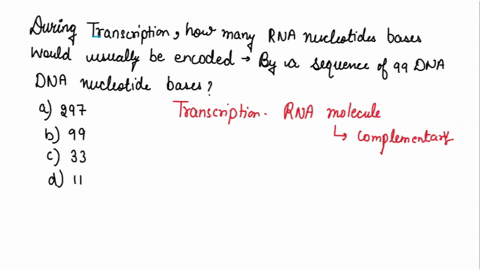 during-transcription-how-many-rna-nucleotide-bases-would-usually-be-encoded-by-a-sequence-of-99-dn-2-30054