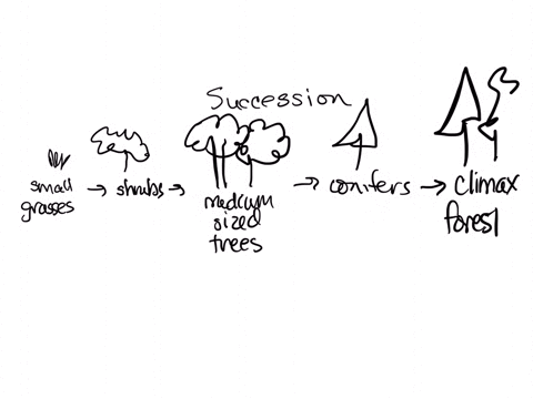 describe-how-and-why-the-complexity-of-an-ecosystem-can-evolve-through-time-explain-why-more-complexity-in-an-ecosystem-makes-it-more-adaptable-to-change-72898