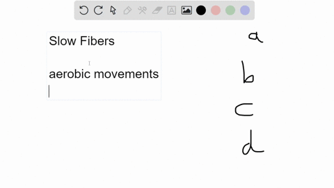 which-of-the-following-statements-is-false-a-slow-fibers-have-a-small-network-of-capillaries-b-slow-25946