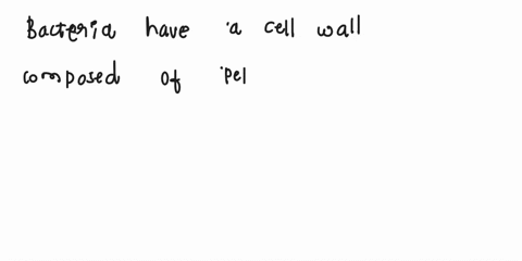 what-is-the-difference-between-bacteria-fungi-and-plants-related-to-their-cell-wall-00135