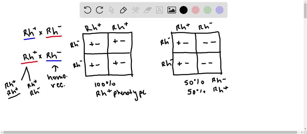 SOLVED: Does Rh factor inheritance follow Mendelian genetics? If yes ...