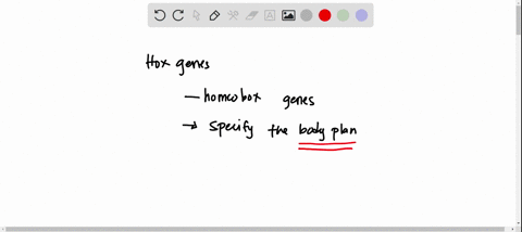 which-statement-about-hox-genes-is-false-a-they-are-expressed-in-similar-patterns-in-the-embryos-of-both-mice-and-flies-b-they-include-a-conserved-region-of-base-pairs-called-the-homeobox-c-85294