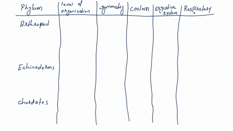 compare-arthropods-echinoderms-and-chordates-in-terms-of-their-similarities-and-differences-65938