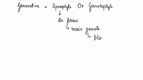what-generation-sporophyte-or-gametophyte-does-the-embryo-of-a-seed-represent-what-generation-sporophyte-or-gametophyte-does-the-embryo-of-a-seed-represent-what-is-the-benefit-of-the-stored-24084