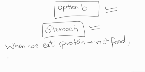 protein-digestion-begins-in-the-_________-a-mouth-b-stomach-c-small-intestine-d-colon-3-47287