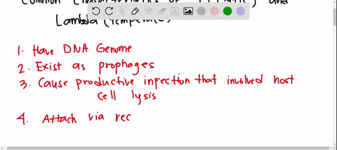 the-phages-t4-lytic-and-lambda-temperate-share-all-of-the-following-characteristics-excepta-causing-productive-infections-that-involve-host-cell-lysisb-existing-as-a-prophagec-having-a-dna-g-73868
