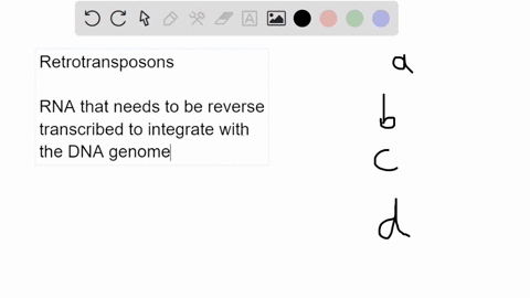 question-5-which-of-the-following-are-true-of-retrotransposons-i-they-insert-an-rna-copy-into-the-genome-ii-they-act-via-a-copy-and-paste-mechanism-iii-they-encode-the-enzyme-reverse-transcr-36085