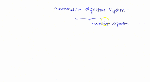 in-the-mammalian-digestive-system-what-is-the-primary-site-of-nutrient-absorption-a-pharynx-b-small-intestine-c-large-intestine-pancreas-e-stomach-45594