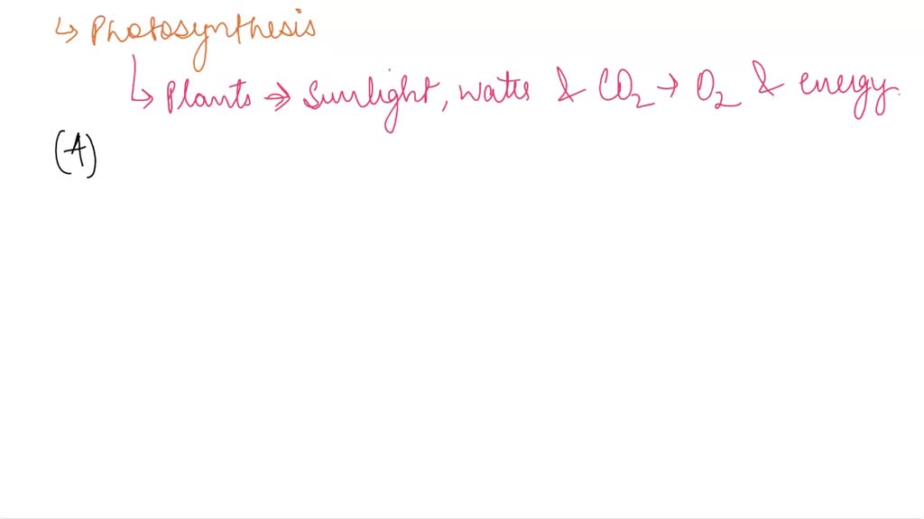 negative control in photosynthesis experiment