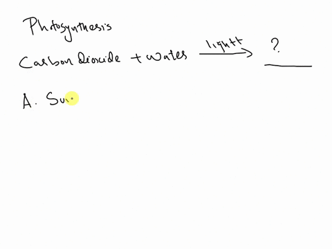 a-student-started-a-model-to-show-how-photosynthesis-transforms-light-into-stored-chemical-energy-carbon-dioxide-water-light-what-should-the-student-add-to-the-model-on-the-right-side-of-the-60695