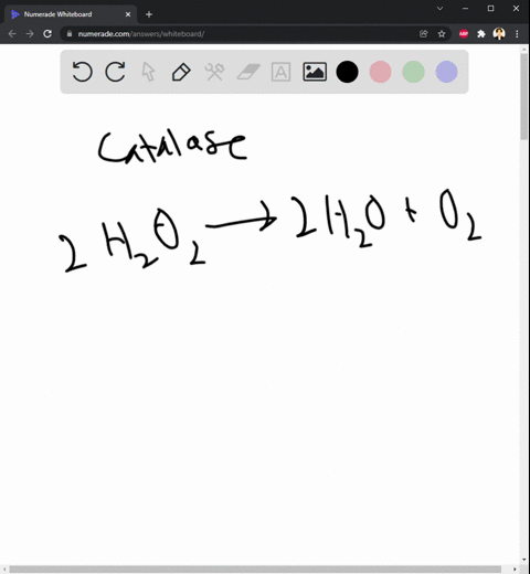 in-the-enzyme-lab-we-added-liver-to-the-hydrogen-peroxide-hydrogen-peroxide-broke-down-to-produce-oxygen-gas-and-water-with-the-use-of-catalase-indicate-the-substrates-enzymes-and-products-i-13925