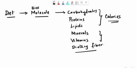 example-of-a-molecule-in-food-that-adds-fiber-to-your-diet-24172