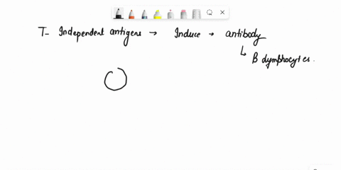 extracellular-antigens-b-cell-receptors-mhc-class-with-antigen-displayed-on-surface-antigen-fragments-cytokines-plasma-cell-antibodies-cell-b-cell-b-cell-apc-receptors-recognize-and-attach-t-17748
