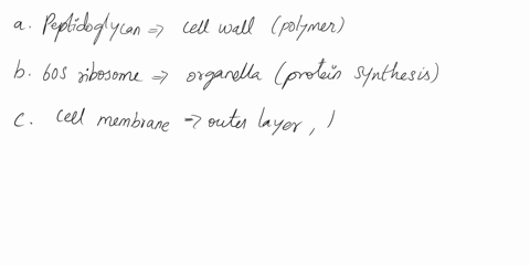 which-of-the-following-are-not-ideal-anti-bacterial-drug-targets-select-all-that-apply-a-peptidoglycan-b-60s-ribosome-c-cell-membrane-d-dnarna-e-50s-ribosome-f-chitin-gfolic-acid-synthesis-w-30105