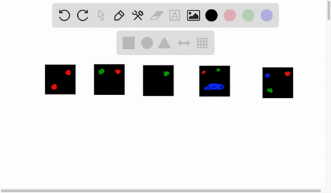 the-image-shown-below-represents-five-different-ecological-cornmunities-which-community-has-the-greatest-species-diversity-4and-5-are-equivalent-82514