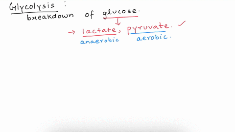 which-is-not-made-in-glycolysis-lactate-inorganic-phosphate-glyceraldehyde-nadh-atp-pyruvate-glucose-6-phosphate-adp-23-bisphosphoglycerate-nad-dihydroxyacetone-phosphate-glucose-1-phosphate-25109