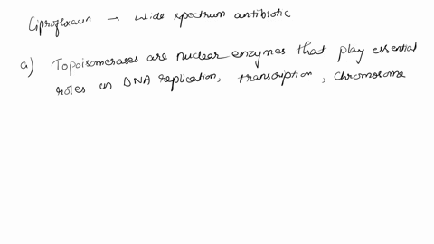 ciprofloxacin-cipro-is-a-wide-spectrum-antibiotic-that-inhibits-bacterial-forms-of-topoisomerase-was-widely-known-10-vears-ag0-as-the-antibiotic-that-was-being-stockpiled-case-of-bioterroris-14988