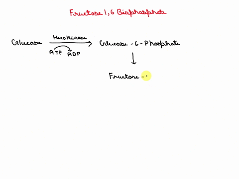in-glycolysis-glucose-is-broken-down-into-pyruvate-and-a-small-amount-of-nadh-and-atp-is-synthesized-with-a-few-bypass-reactions-glycolysis-can-be-reversed-in-the-process-of-gluconeogenesis-56006
