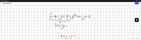 laryngopharynx-means