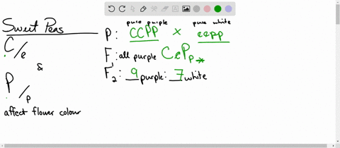 in-sweet-pea-flower-colour-is-control-by-two-loci-c-and-p-in-the-dihybrid-eross-the-f-of-a-cross-between-pure-purple-flower-ccpp-and-pure-white-flower-ccpp-has-purple-flowers-however-the-fz-94459