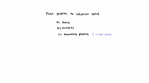 the-first-plants-to-colonize-land-were-the-a-ferns-b-mosses-c-flowering-plants-d-conifers-e-algae-previous-page-next-page