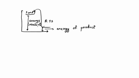 apply-concepts-h2o-and-h2o2-are-binary-molecular-compounds-generally-known-by-their-common-names-water-and-hydrogen-peroxide-following-the-naming-conventions-you-identified-for-molecular-com-89884