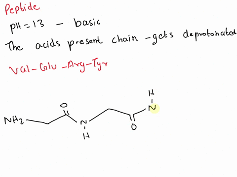 draw-the-following-peptide-val-glu-arg-tyr-at-ph-13-and-what-is-the-total-charge