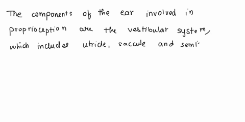 describe-the-components-of-the-ear-involved-in-proprioception-and-how-they-work-02615