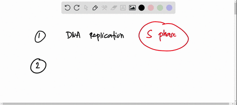 cell-cycle-and-meiosis-exercise-a-the-cell-cycle-cont-during-whkch-phase-ol-the-cell-cycle-are-thr-chromosomas-replicated-during-which-phuse-ccil-cycle-4rt-chromotomc-phaled-what-phenomcnon-96085