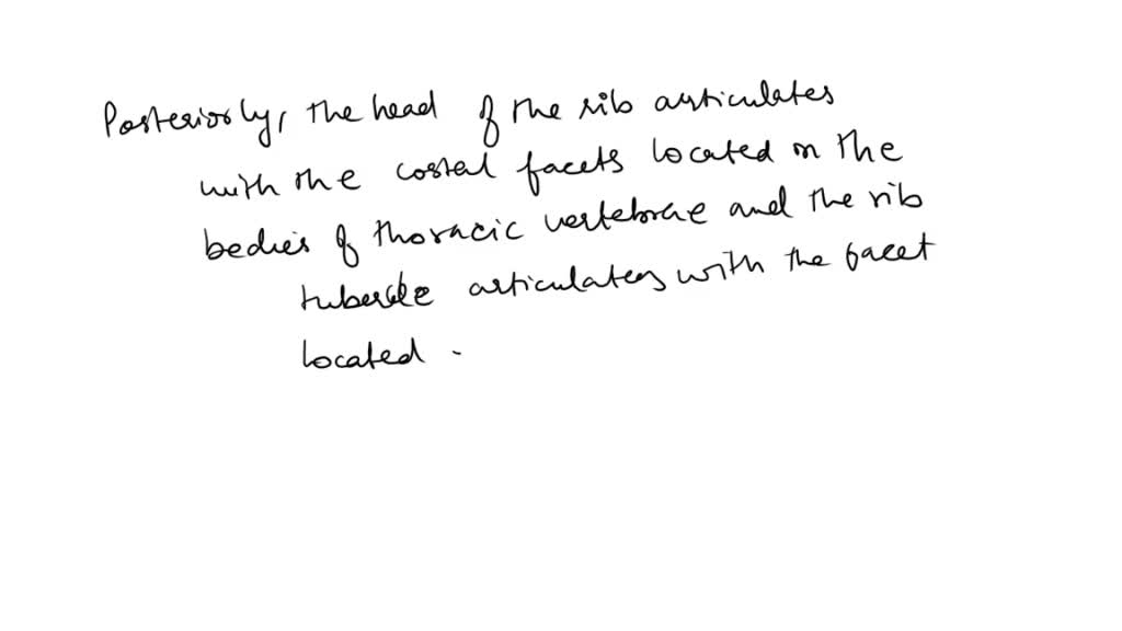 SOLVED: Describe the anatomy of the sternum and ribs and how the ribs ... Biology Diagrams