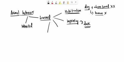 an-animal-that-solves-a-problem-is-engaging-in-what-type-of-behavior-a-fixed-action-pattern-b-cognit-87204