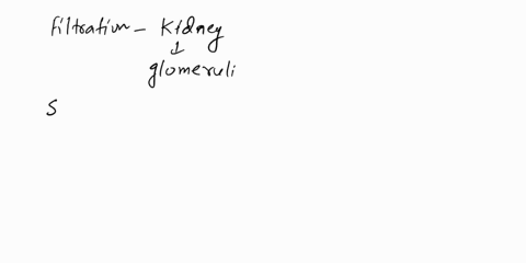 1-all-plasma-constituents-filtered-secreted-and-reabsorbed-remain-in-the-tubules-and-pass-into-the-renal-pelvis-to-be-excreted-as-urine-select-one-true-false-2-the-properties-of-the-glomerul-71063