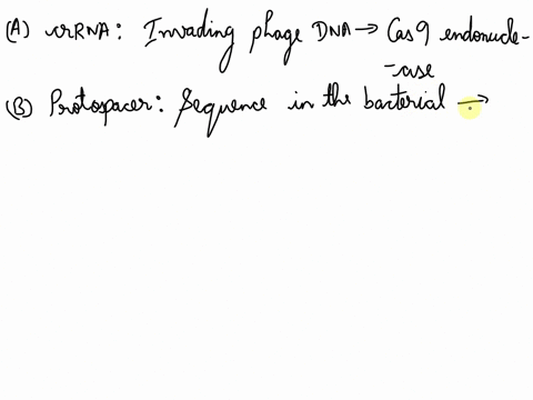 6-6-points-match-the-folbwing-components-of-the-crispricas9-bacterial-immune-system-with-the-appropriate-description-each-answer-is-used-only-once-crrna-b-protospacer-spacer-d-crispr-cas9-pa-97124