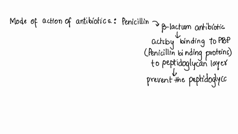 part-2-0f-3-question-33-of-75-2-points-which-of-the-following-best-explains-the-mechanism-of-selective-toxicity-for-penicillin-a-humans-do-not-synthesize-folic-acid-it-is-obtained-from-their-48614