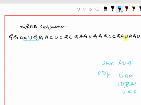 given-the-strand-of-mrna-translate-it-into-the-correct-amino-acid-sequence-watch-for-the-start-and-stop-mrna-g-g-a-a-u-g-g-a-c-u-c-g-c-g-a-a-u-g-g-g-c-c-g-a-u-a-g-u-c-a-protein-52435