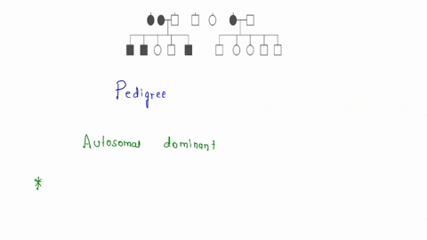 question-4-2-pts-examine-the-pedigree-below-and-determine-the-mode-of-inheritance-for-the-shaded-individuals-ie-autosomal-dominant-autosomal-recessive-or-x-linked-recessive-allele-autosomab-05515