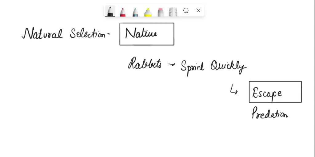 Natural Selection Examples Rabbit SOLVED: Which of the following is NOT an example of natural selection ...