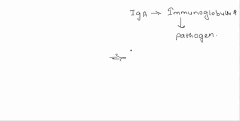 secretory-iga-binds-to-pathogens-in-all-of-the-following-locations-except-the-lumen-of-the-gut-0-blod-0-peyers-patches-iamina-propria-endosomes-of-an-m-cell-45342
