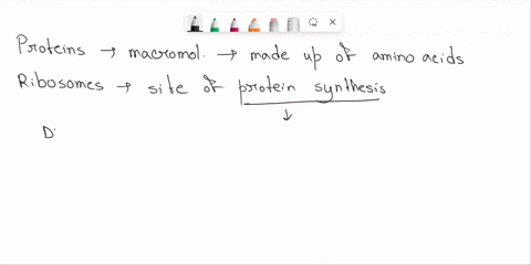 proteins-are-a-built-in-the-nucleus-by-dna-and-transported-to-the-ribosomes-b-converted-from-nucleic-acids-to-amino-acids-in-the-nucleolus-c-produced-in-the-lysosomes-and-transported-out-of-24325