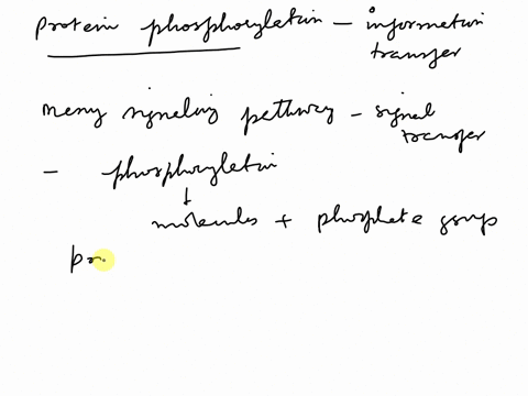 protein-phosphorylation-is-a-common-means-of-information-transfer-in-signal-transduction-discuss-48934