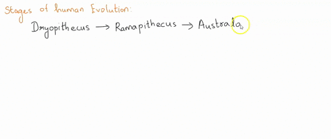 which-of-the-following-correctly-lists-possible-ancestors-of-humans-from-the-oldest-to-the-most-rece-97803