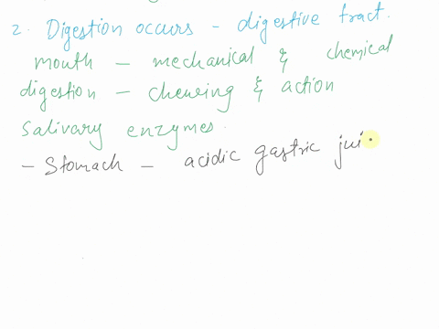 digestive-system-answer-the-following-questions-what-happens-to-the-bacteria-that-is-swallowed-when-you-eat-where-does-digestion-occur-what-is-the-ph-of-stomach-acid-and-what-does-stomach-ac-96446