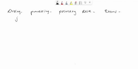 30-during-processing-of-a-primary-rna-transcript-pre-mrna-are-joined-together-to-form-a-mature-mrna-molecule-a-exons-c-amino-acids-e-okazaki-fragments-b-introns-d-termination-codons-45596