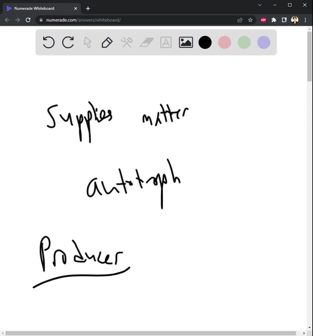 SOLVED This is the kingdom of heterotrophs that obtain energy and
